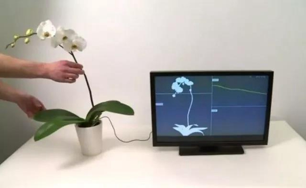 隔空操作！令人驚艷的交互操作